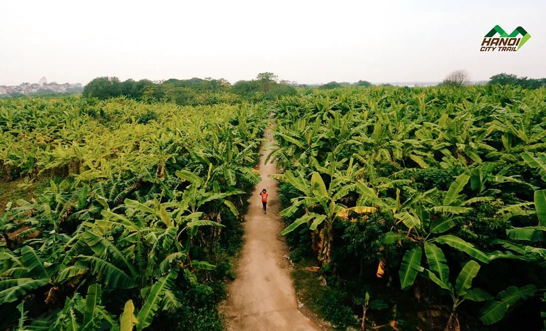 HANOI CITY TRAIL 2019 - EVERY STEP COUNTS gallery image 7